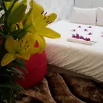 Glamor Hotel & Travel