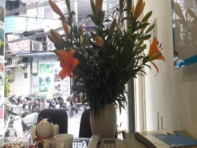 Glamor & Travel 2* Hanoi